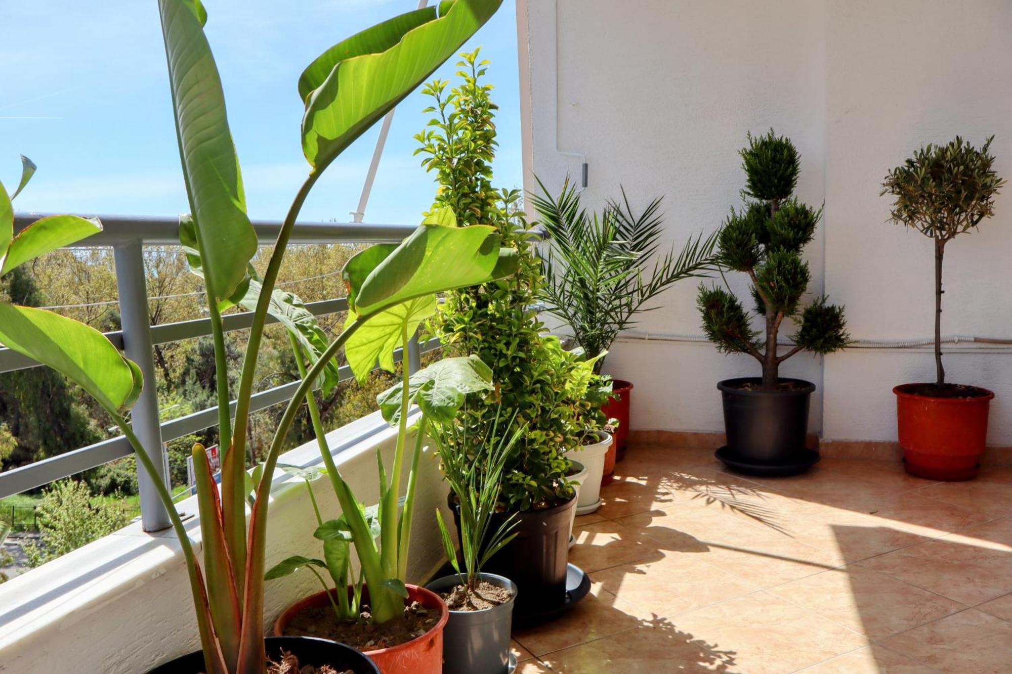 Laurent's Apartament Durrës